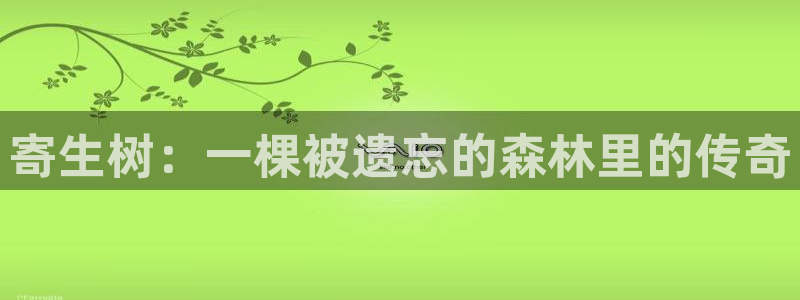 m漫画屋